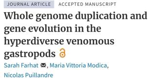 Whole genome duplication in Neogastropods